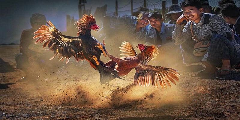 win rar xổ số bữa nay