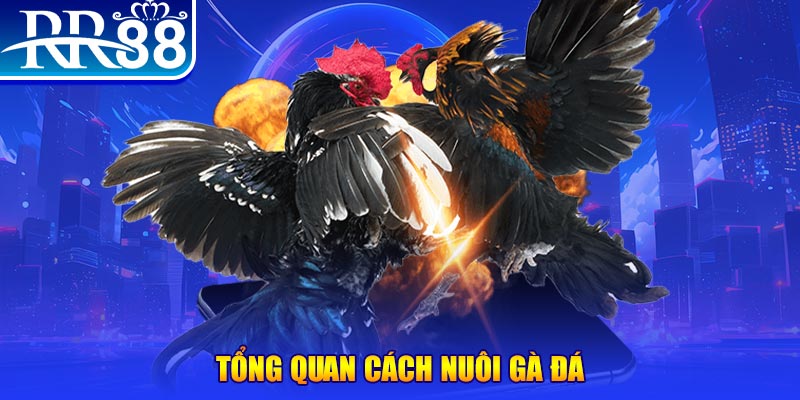 win rar game nổ hũ rút tiền mặt là gì