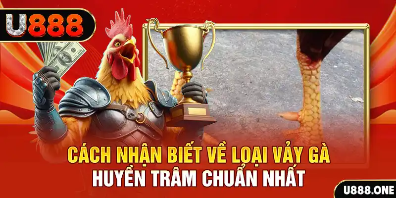 win rar đăng nhập nổ hũ số 1