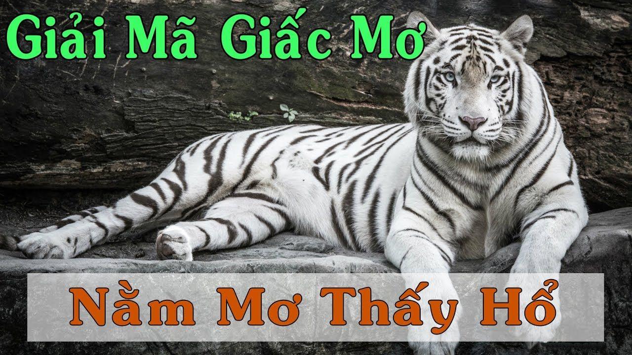 win rar nổ hũ là game gì