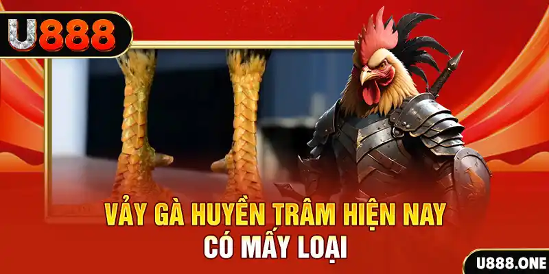 win rar xổ số bình định