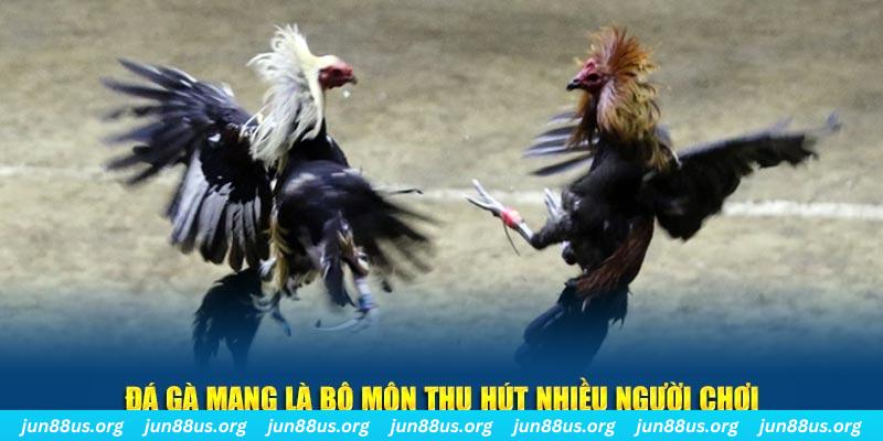 win rar nổ hủ nghĩa là gì