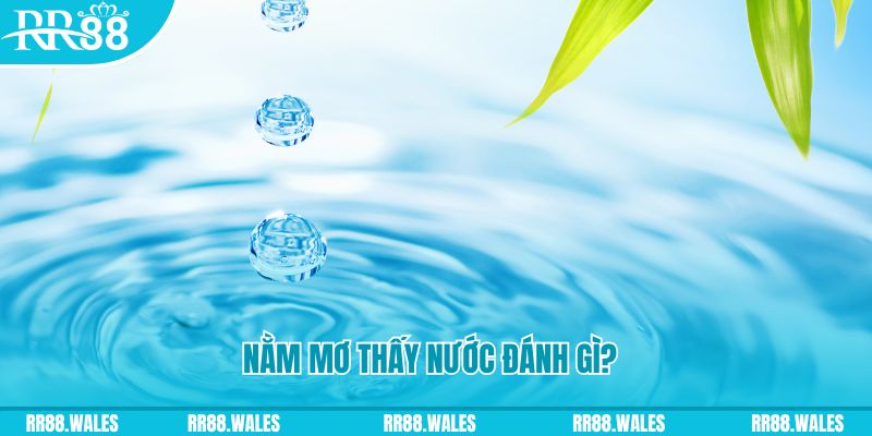 win rar TCG Xổ Số