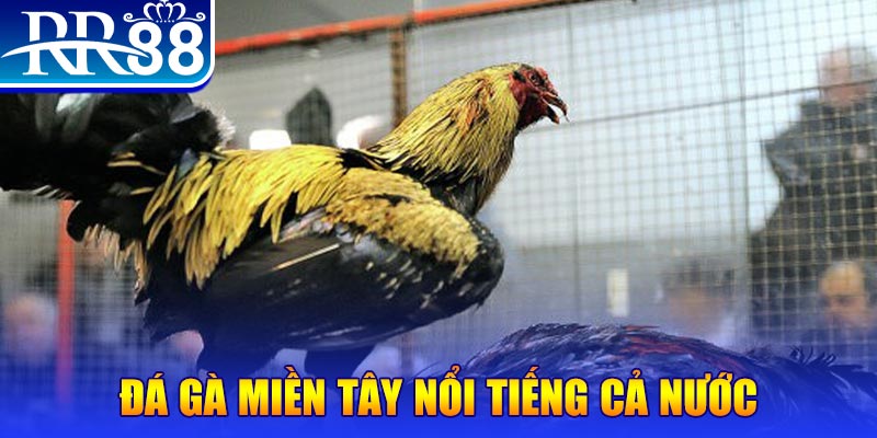 win rar xổ số đại phát