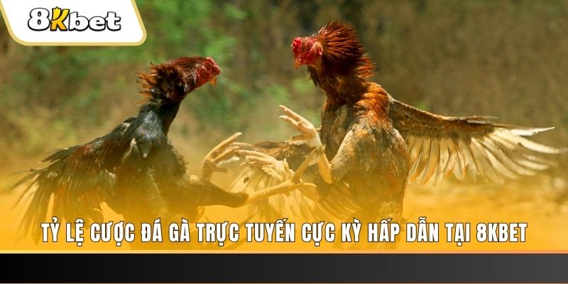win rar đăng nhập nổ hũ trực tuyến
