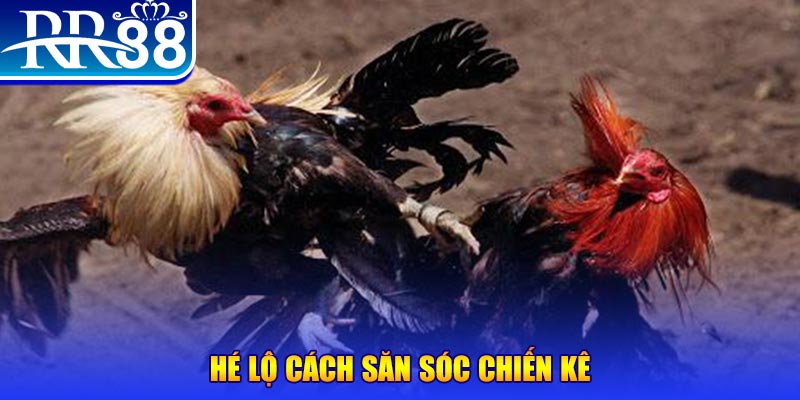 win rar xổ số miền trung thứ tư