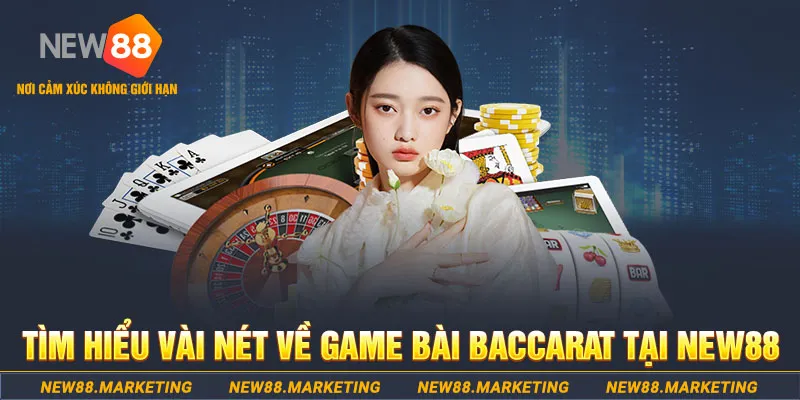win rar gà chọi c1 ô taxi